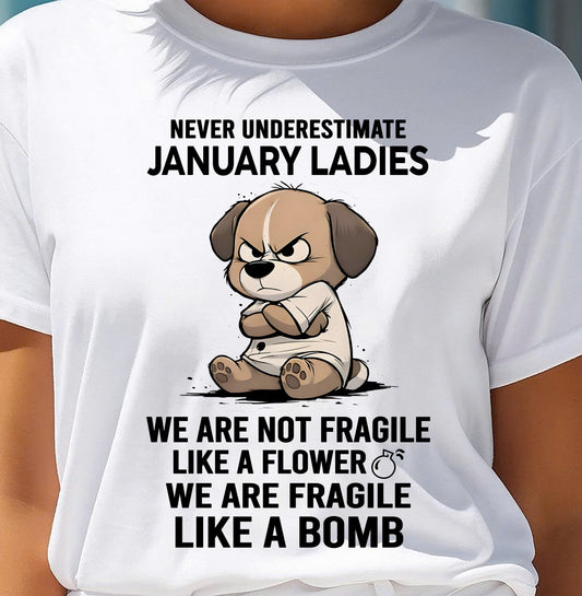 JANUARY SHIRT, WE ARE FRAGILE LIKE A BOMB - FMA SNOW01 (SKU2603-351-01)