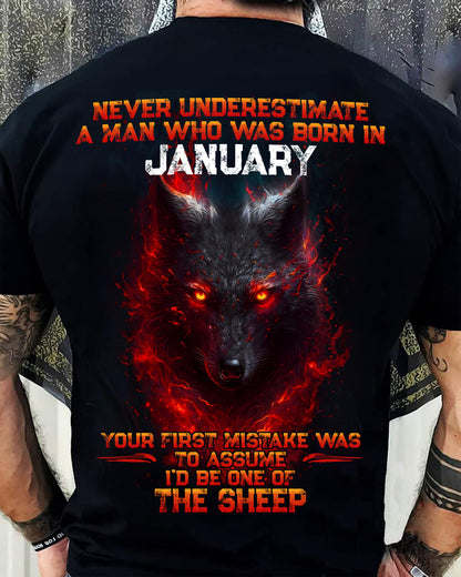 JANUARY, I'D BE ONE OF THE SHEEP - SNOW MALE01 (SKU2602-131-01)