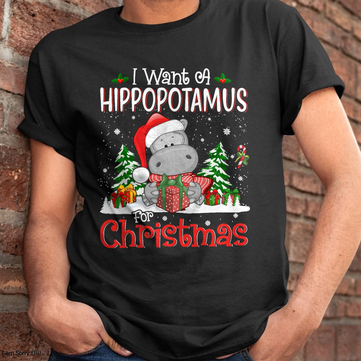 I Want A Hippopotamus For Christmas Xmas Hippo for Kid Women T-Shirt - Christmas Unisex T-Shirt/Hoodie/Sweatshirt - SNOW00