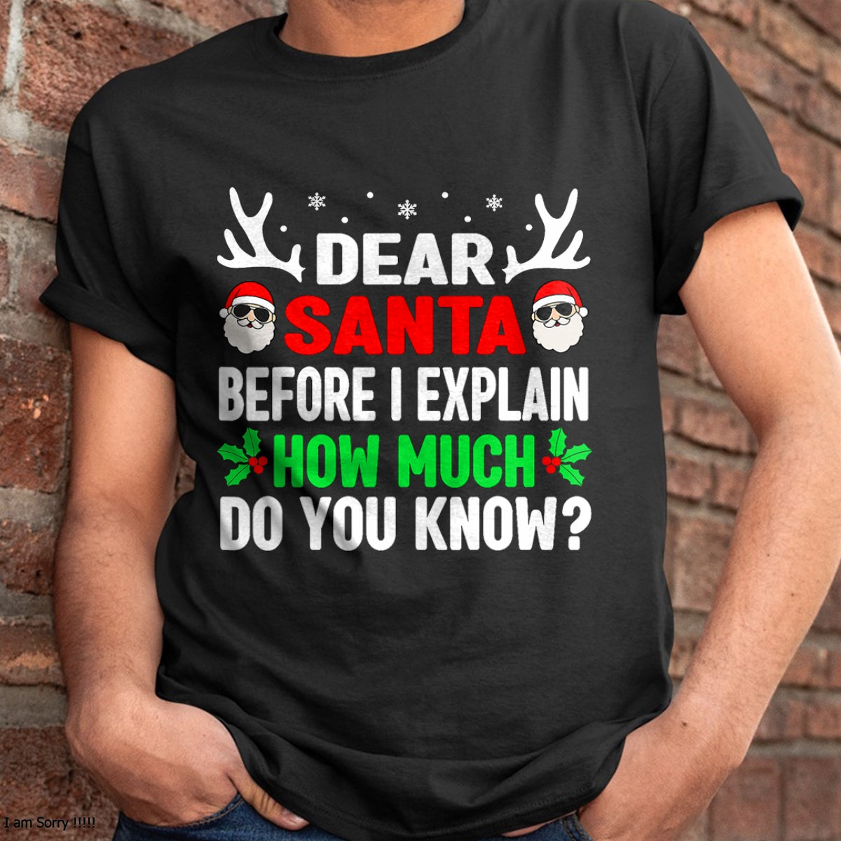 Funny Christmas Kids Adults Dear Santa I Can Explain T-Shirt - Christmas Unisex T-Shirt/Hoodie/Sweatshirt - SNOW00