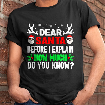 Funny Christmas Kids Adults Dear Santa I Can Explain T-Shirt - Christmas Unisex T-Shirt/Hoodie/Sweatshirt - SNOW00