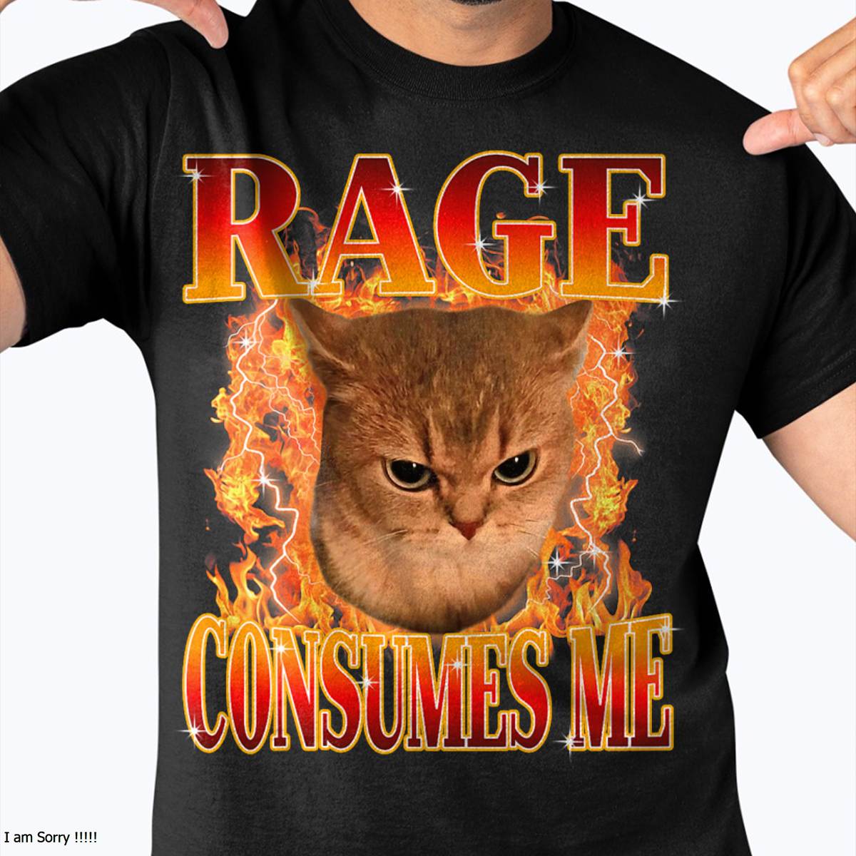 Rage Consumes Me Angry Cat Meme Funny Saying Cats Animals T-Shirt