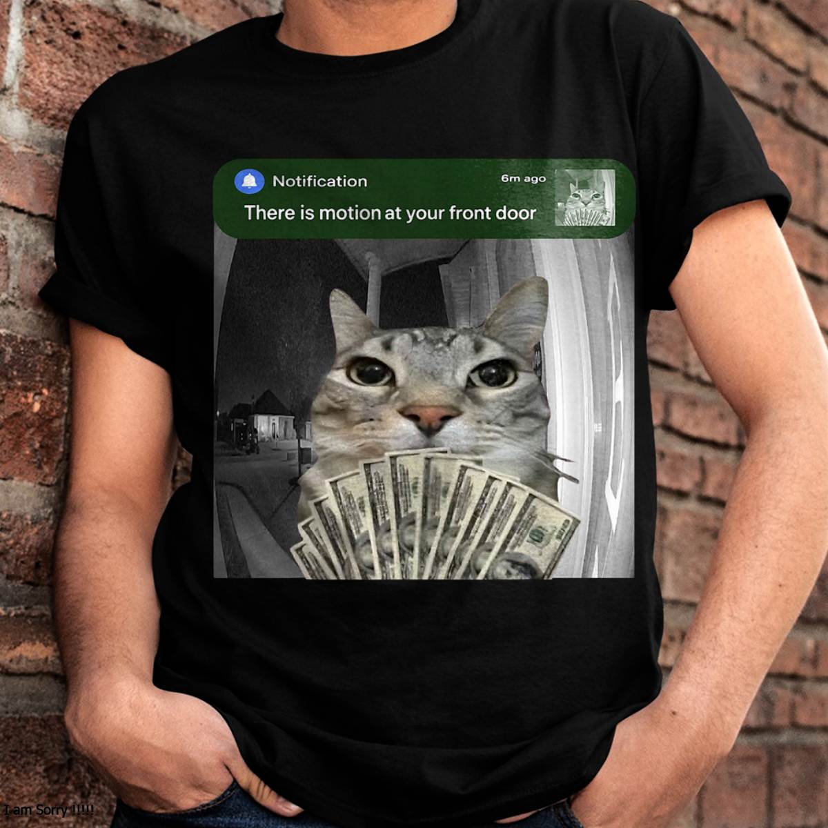 There is Motion at Your Front Door Funny Cat Motion Meme T-Shirt