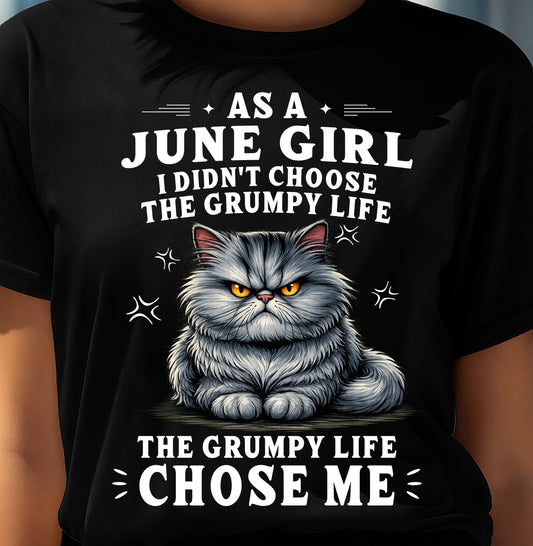 JUNE SHIRT THE GRUMPY LIFE CHOSE ME - SNOW06 (SKU2605-68-06)