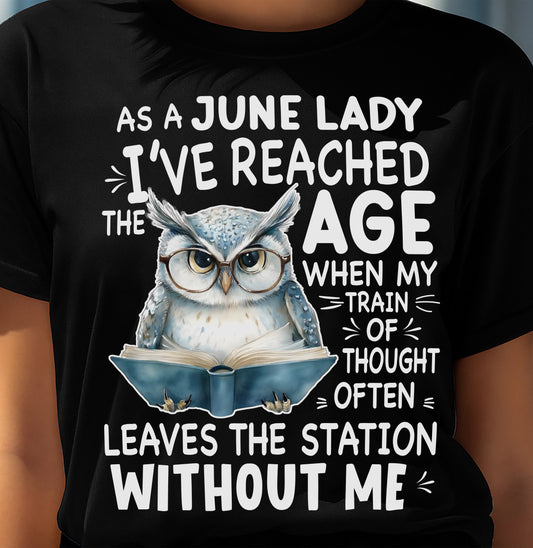 JUNE SHIRT, LEAVES THE STATION WITHOUT ME - SNOW06 (SKU2603-101-06)