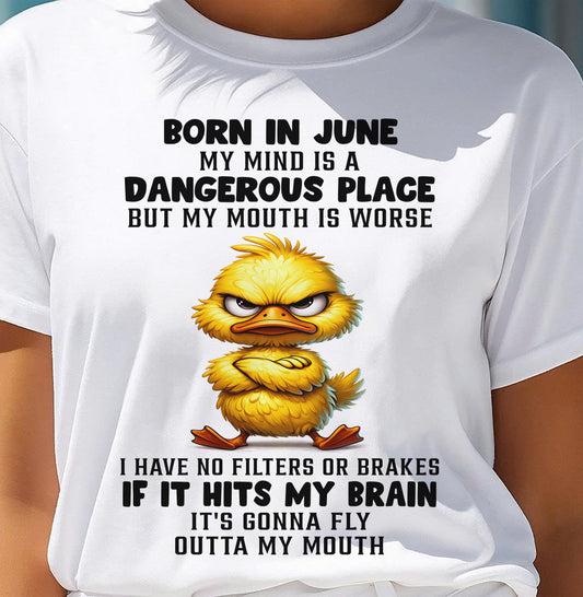 JUNE SHIRT MY MOUTH IS A DANGEROUS PLACE - SNOW06 (SKU2605-61-06)