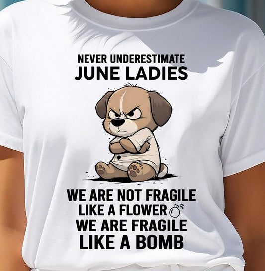 JUNE SHIRT, WE ARE FRAGILE LIKE A BOMB - FMA SNOW06 (SKU2603-351-06)