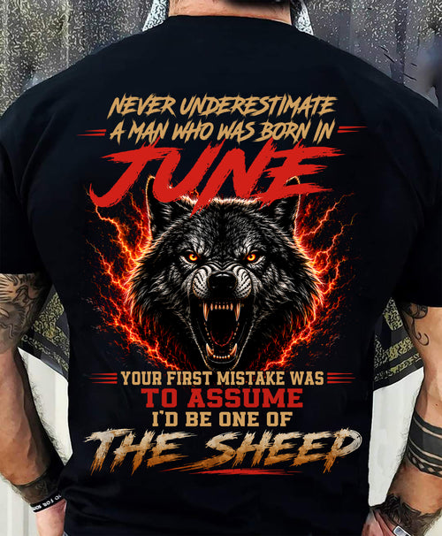 JUNE SHIRT, DON'T ASSUME I'D BE ONE OF THE SHEEP - SNOW MALE06 (SKU2608-497-06)