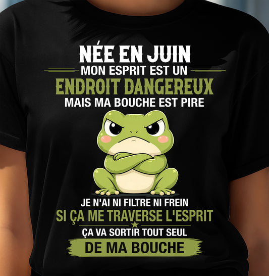 JUIN SHIRT JE N'AI NI FILTRE NI FREIN - SNOW06 (SKU2605-144-06)