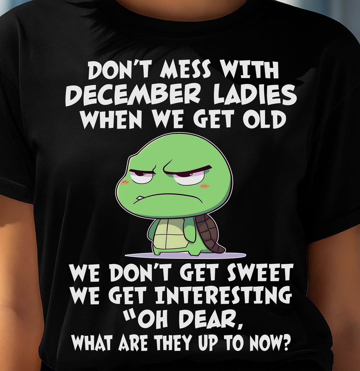 DECEMBER SHIRT, WHAT ARE THEY UP TO NOW - SNOW12 (SKU2604-241-12)