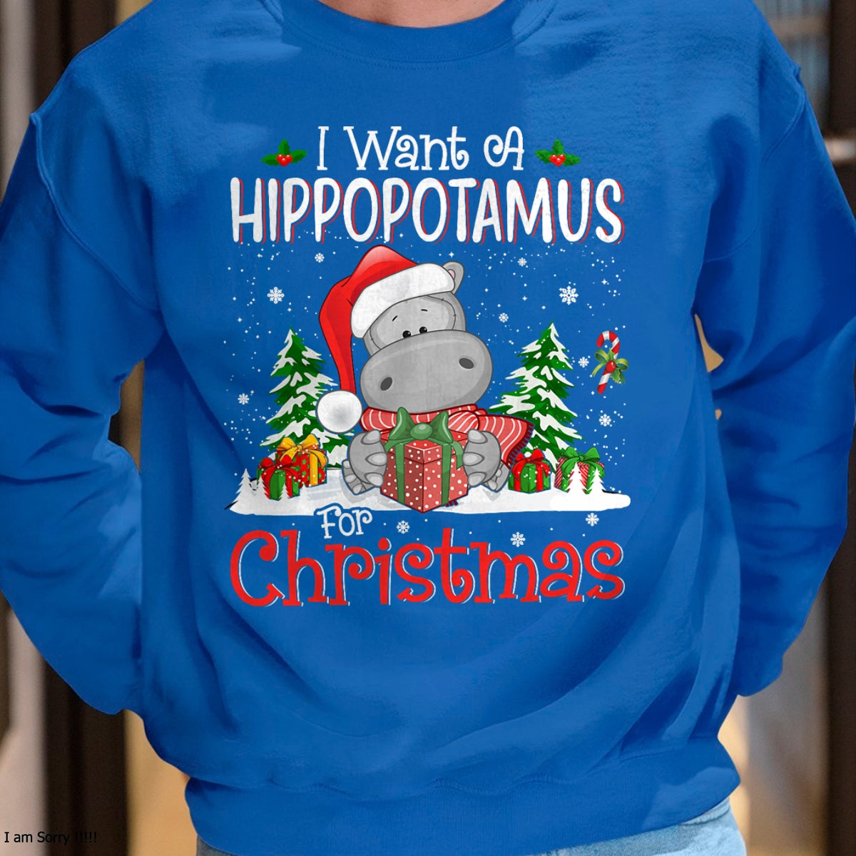 I Want A Hippopotamus For Christmas Xmas Hippo for Kid Women T-Shirt - Christmas Unisex T-Shirt/Hoodie/Sweatshirt - SNOW00