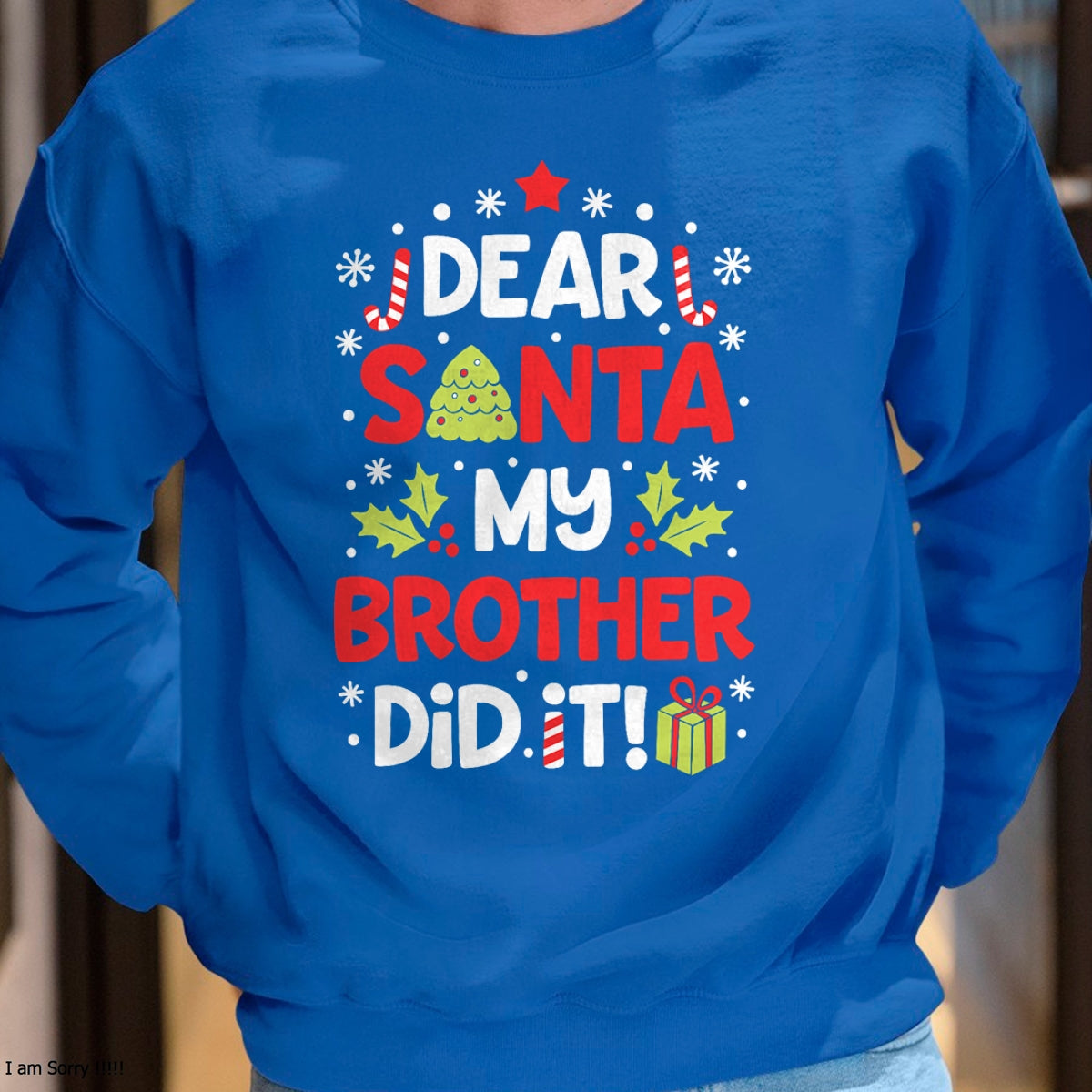 Dear Santa My Brother Did It Funny Christmas Girls Kids Boys Short Sleeve T-Shirt - Christmas Unisex T-Shirt/Hoodie/Sweatshirt - SNOW00