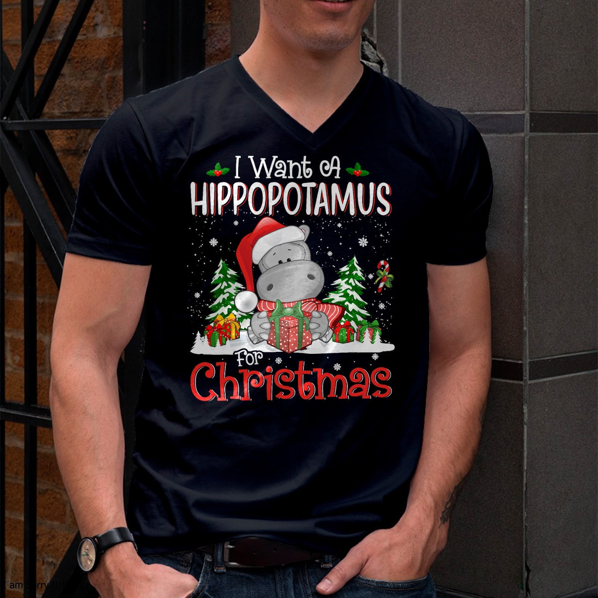 I Want A Hippopotamus For Christmas Xmas Hippo for Kid Women T-Shirt - Christmas Unisex T-Shirt/Hoodie/Sweatshirt - SNOW00