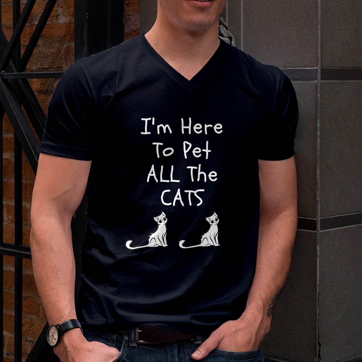 I'm Here to Pet All The Cats Men Womens Kids T-Shirt