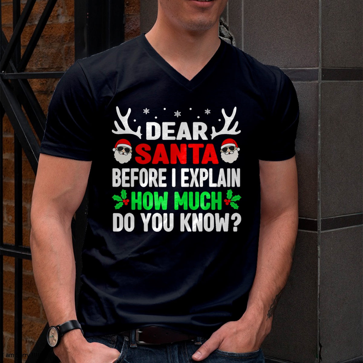 Funny Christmas Kids Adults Dear Santa I Can Explain T-Shirt - Christmas Unisex T-Shirt/Hoodie/Sweatshirt - SNOW00