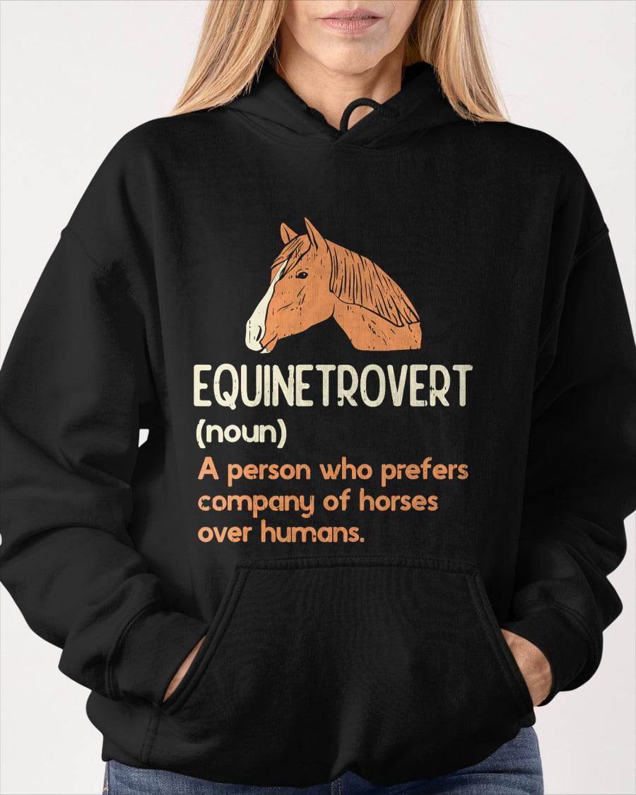 Fun Horse Lover Humor  Funny Horse Definition T-Shirt