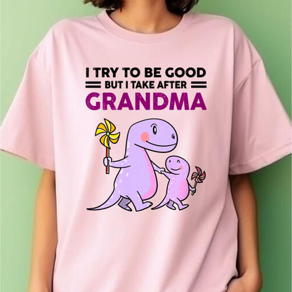 TRY TO BE GOOD BUT I TAKE AFTER GRANDMA- For granddaughter T shirt snow00 (SKU07-87)