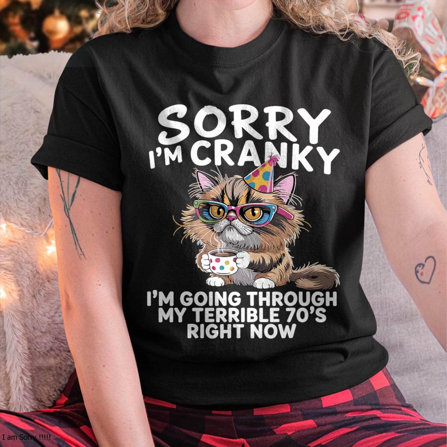 Sorry I'm Cranky I'm Going Through My Terrible 70’s Cats Lovers T-Shirt