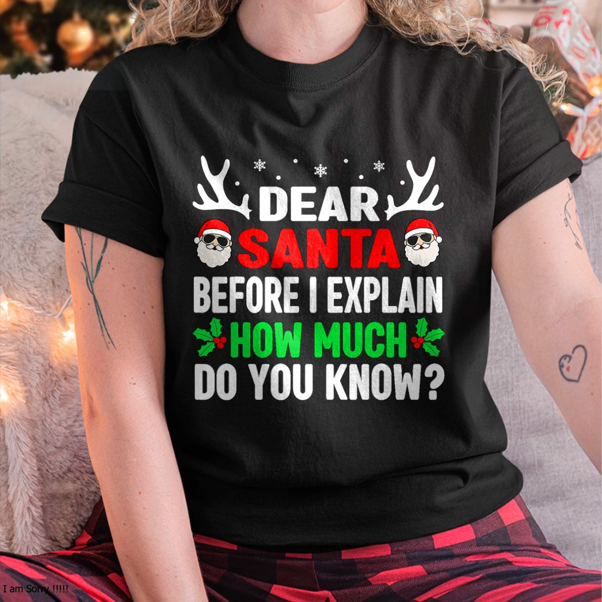 Funny Christmas Kids Adults Dear Santa I Can Explain T-Shirt - Christmas Unisex T-Shirt/Hoodie/Sweatshirt - SNOW00