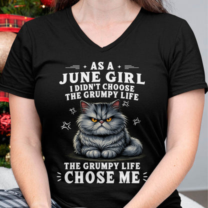 JUNE SHIRT THE GRUMPY LIFE CHOSE ME - SNOW06 (SKU2605-68-06)