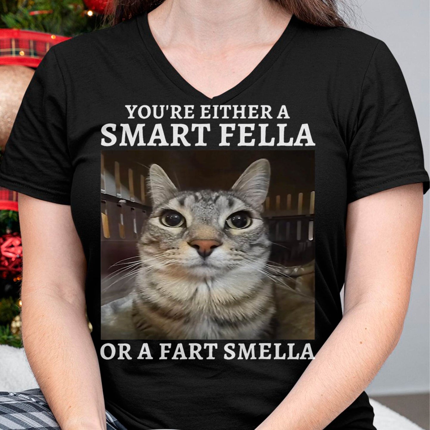 You're Either a Smart Fella or a Fart Smella Funny Cat Meme T-Shirt