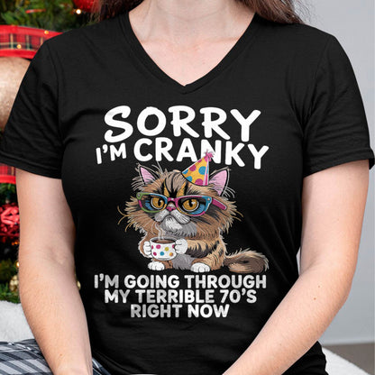 Sorry I'm Cranky I'm Going Through My Terrible 70’s Cats Lovers T-Shirt