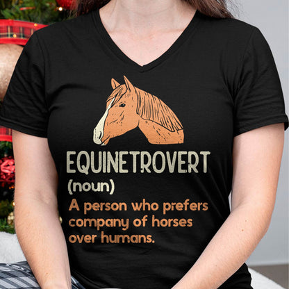 Fun Horse Lover Humor  Funny Horse Definition T-Shirt
