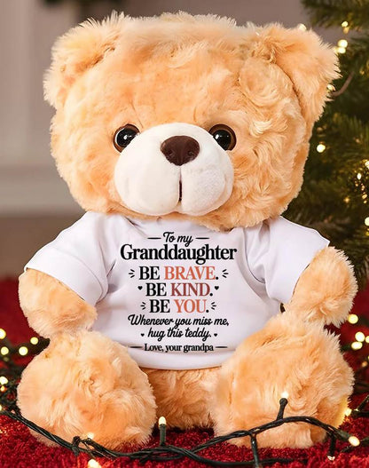 TO MY GRANDDAUGHTER - TEDDY BEAR, A BIG HUG FROM GRANDPA - SNOW00