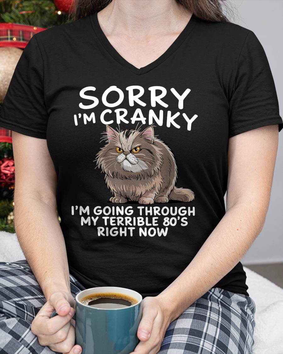 SORRY I AM CRANKY, 80'S - BIRTHDAY SHIRT FOR WOMEN - SNOW00 (SKU12-254)