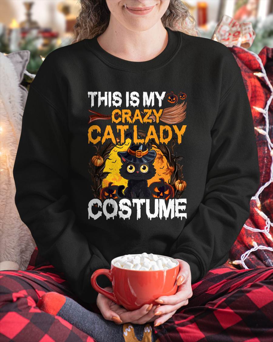 Crazy Cat Lady Costume Black Cat Funny Halloween Day T-Shirt