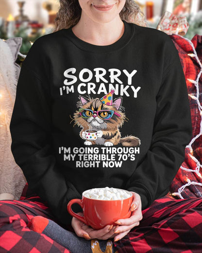 Sorry I'm Cranky I'm Going Through My Terrible 70’s Cats Lovers T-Shirt
