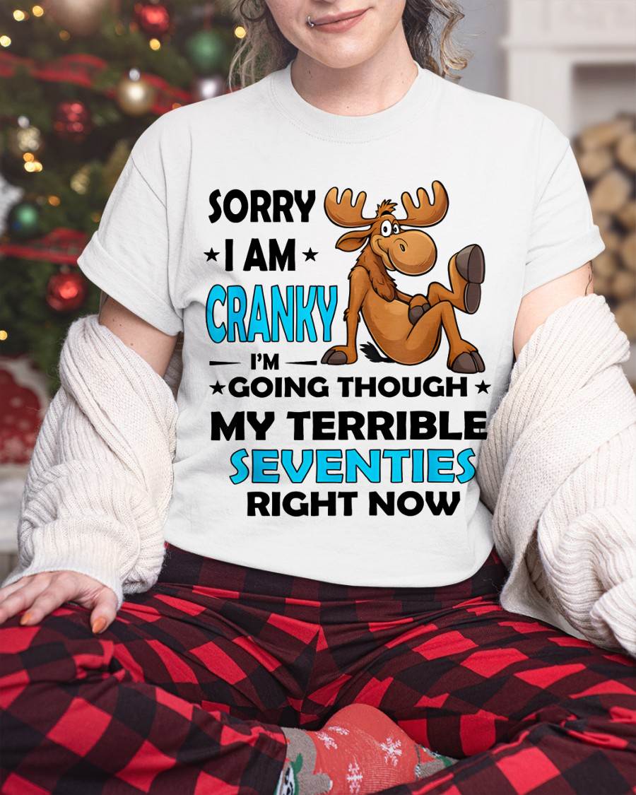SORRY I AM CRANKY - BIRTHDAY SHIRT FOR WOMEN - SNOW00 (SKU12-249)