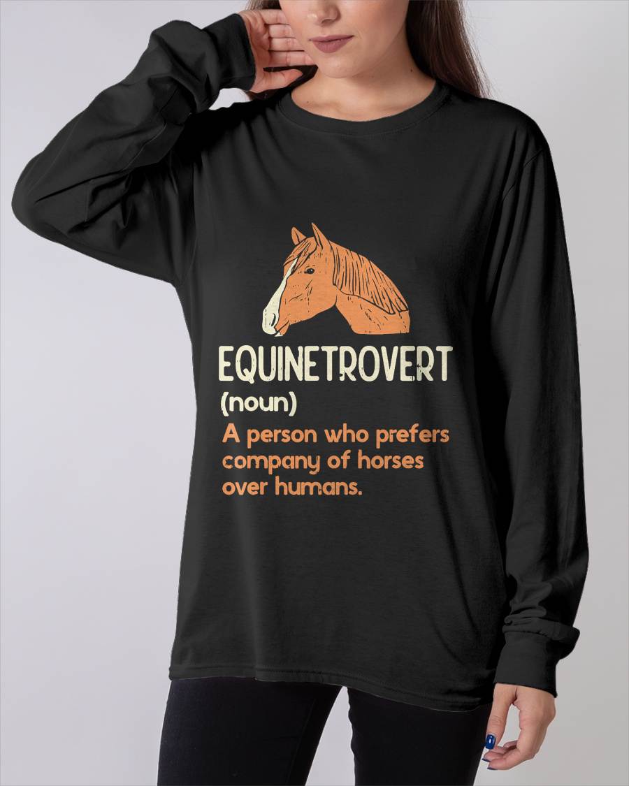 Fun Horse Lover Humor  Funny Horse Definition T-Shirt