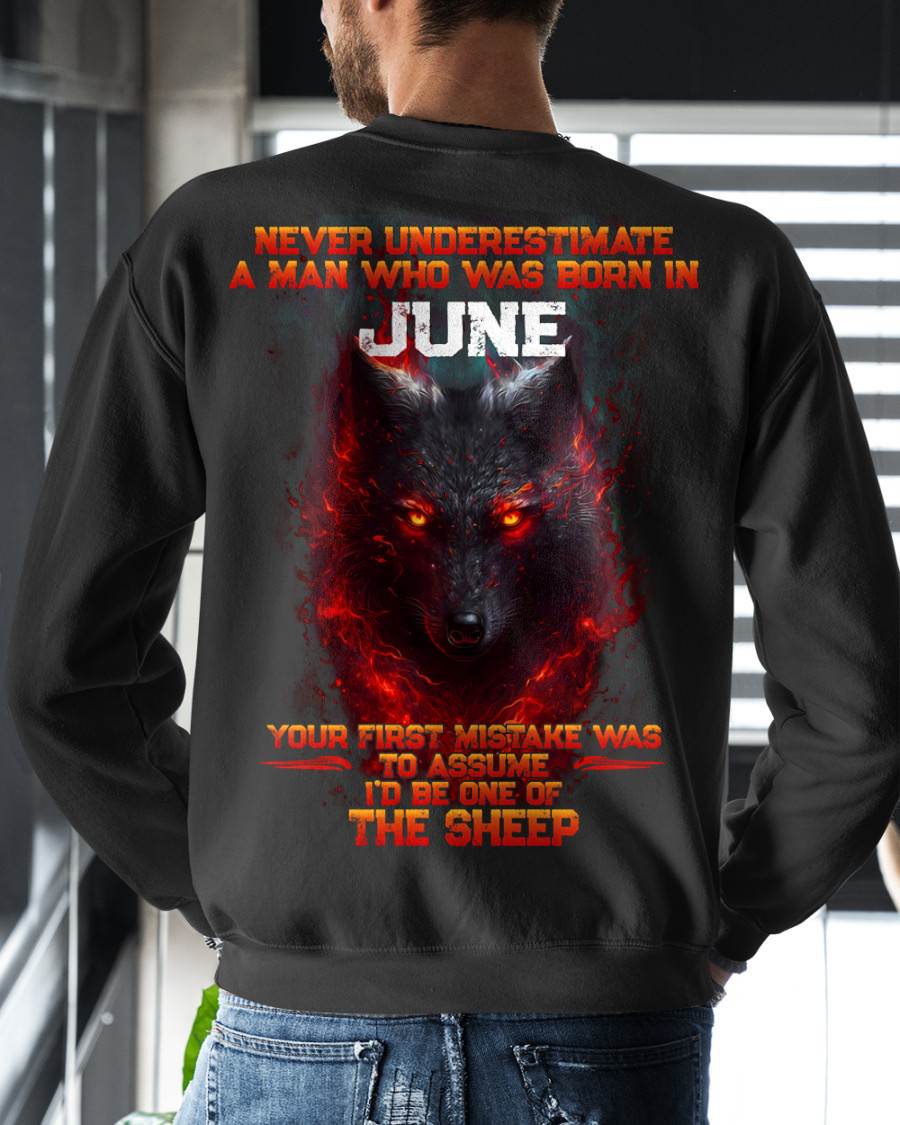 JUNE, I'D BE ONE OF THE SHEEP - SNOW MALE06 (SKU2602-131-06)