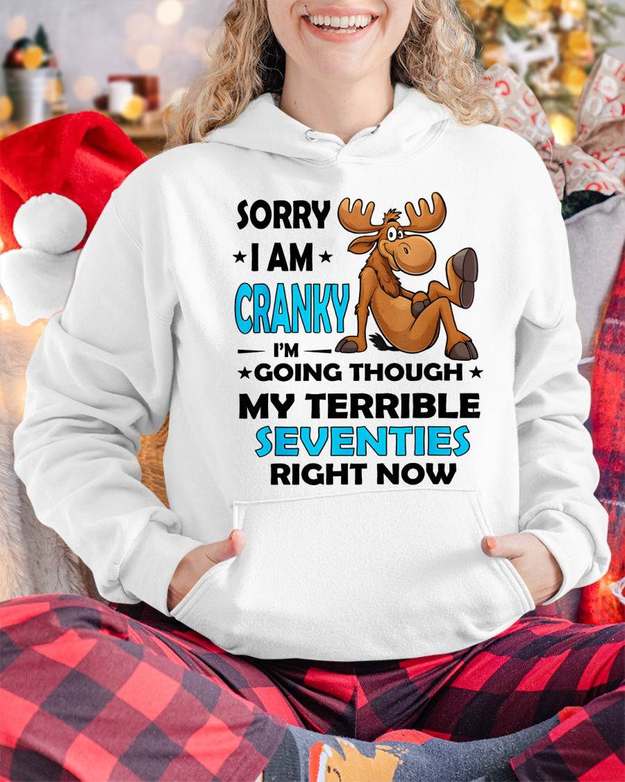 SORRY I AM CRANKY - BIRTHDAY SHIRT FOR WOMEN - SNOW00 (SKU12-249)