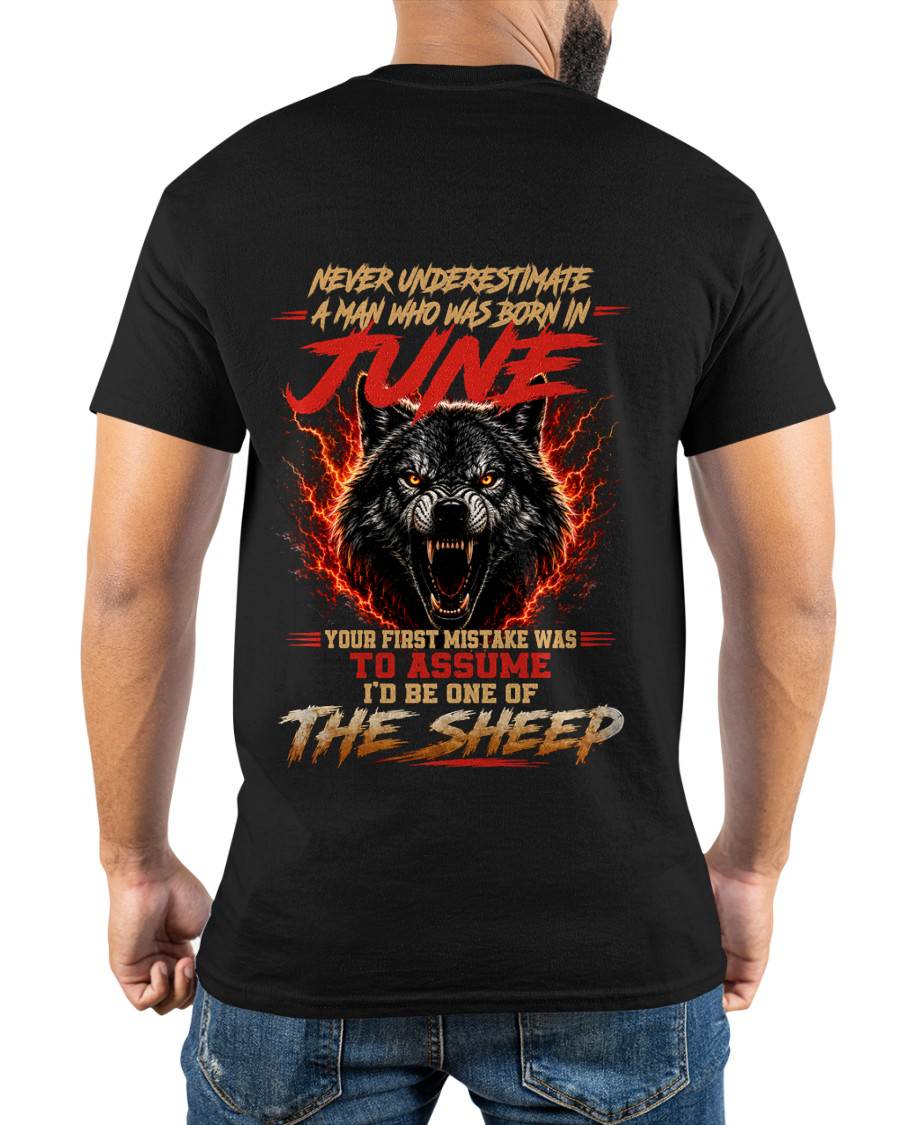 JUNE SHIRT, DON'T ASSUME I'D BE ONE OF THE SHEEP - SNOW MALE06 (SKU2608-497-06)