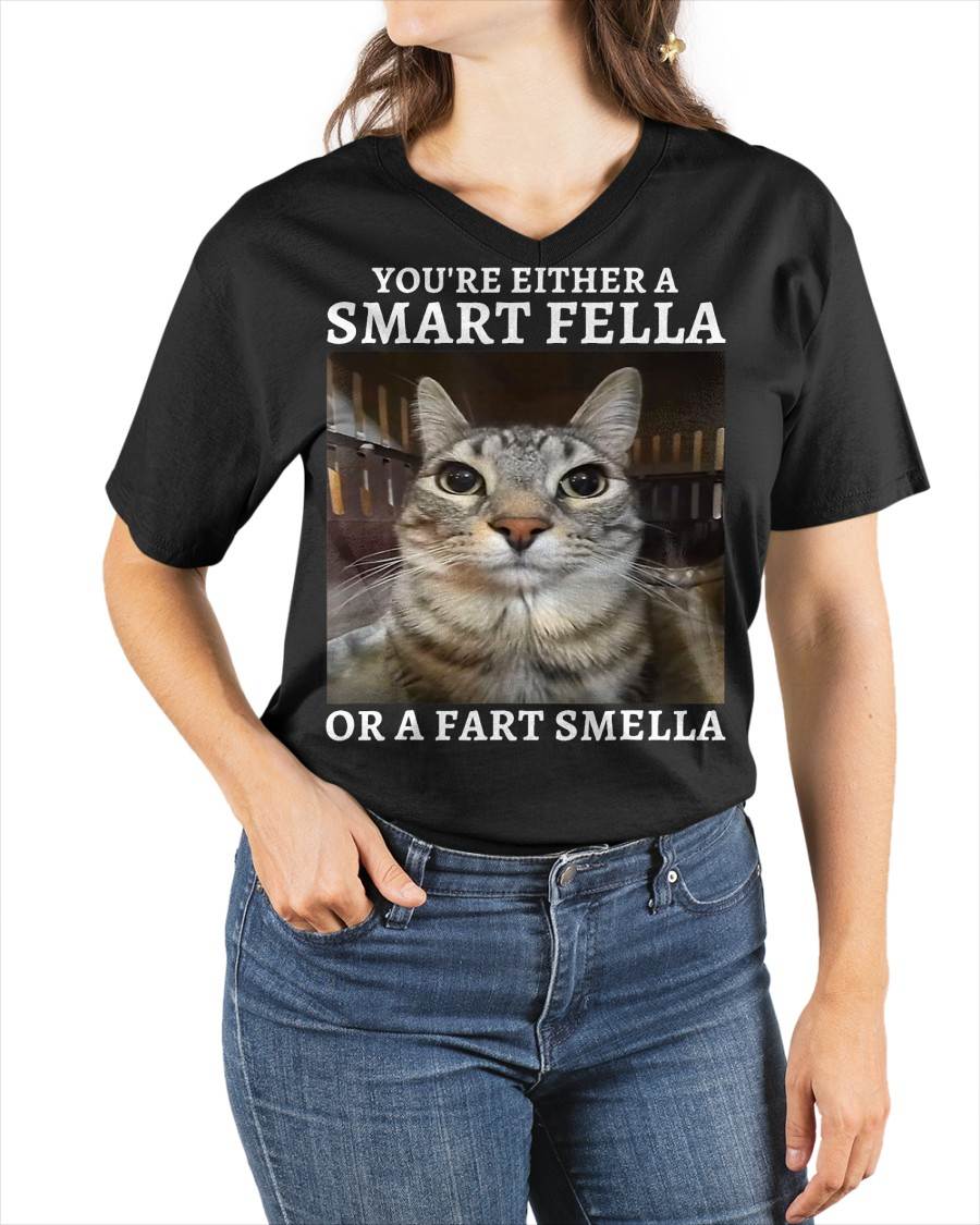 You're Either a Smart Fella or a Fart Smella Funny Cat Meme T-Shirt