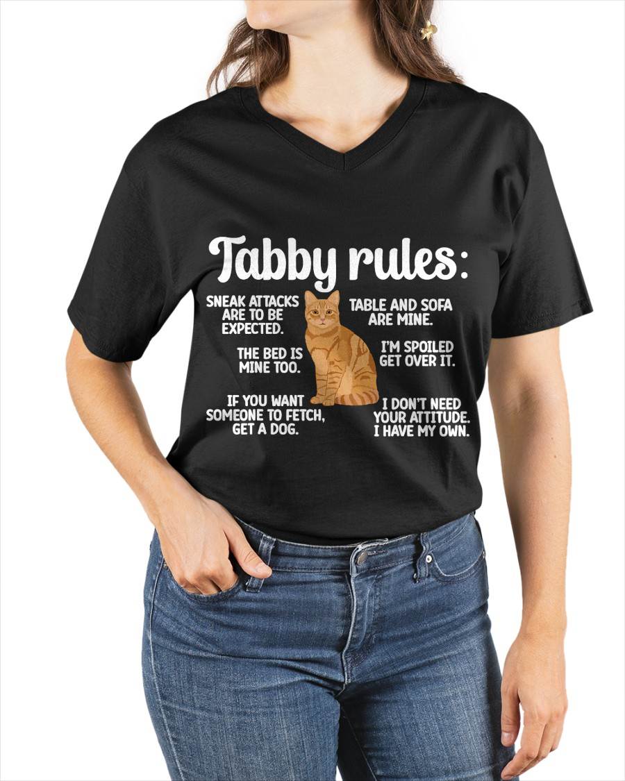 Tabby Rules Orange Tabby Cat Lover Orange Tabby Cat Owner T-Shirt