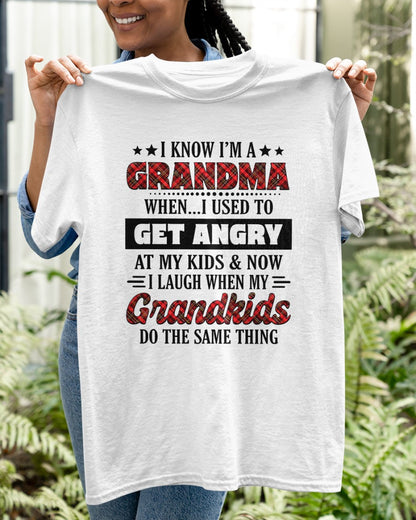 KNOW I'M A GRANDMA WHEN... I USED TO GET ANGRY AT MY KIDS & NOW I LAUGH WHEN MY GRANDKIDS DO THE SAME THING - from grandma snow00 (SKU07-111)