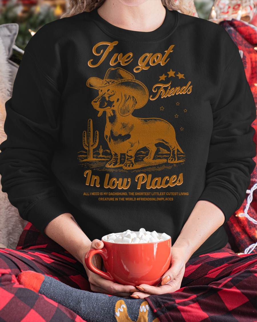 I've Got Friends in Low Places Funny Dachshund Cowboy Doxie Cat T-Shirt