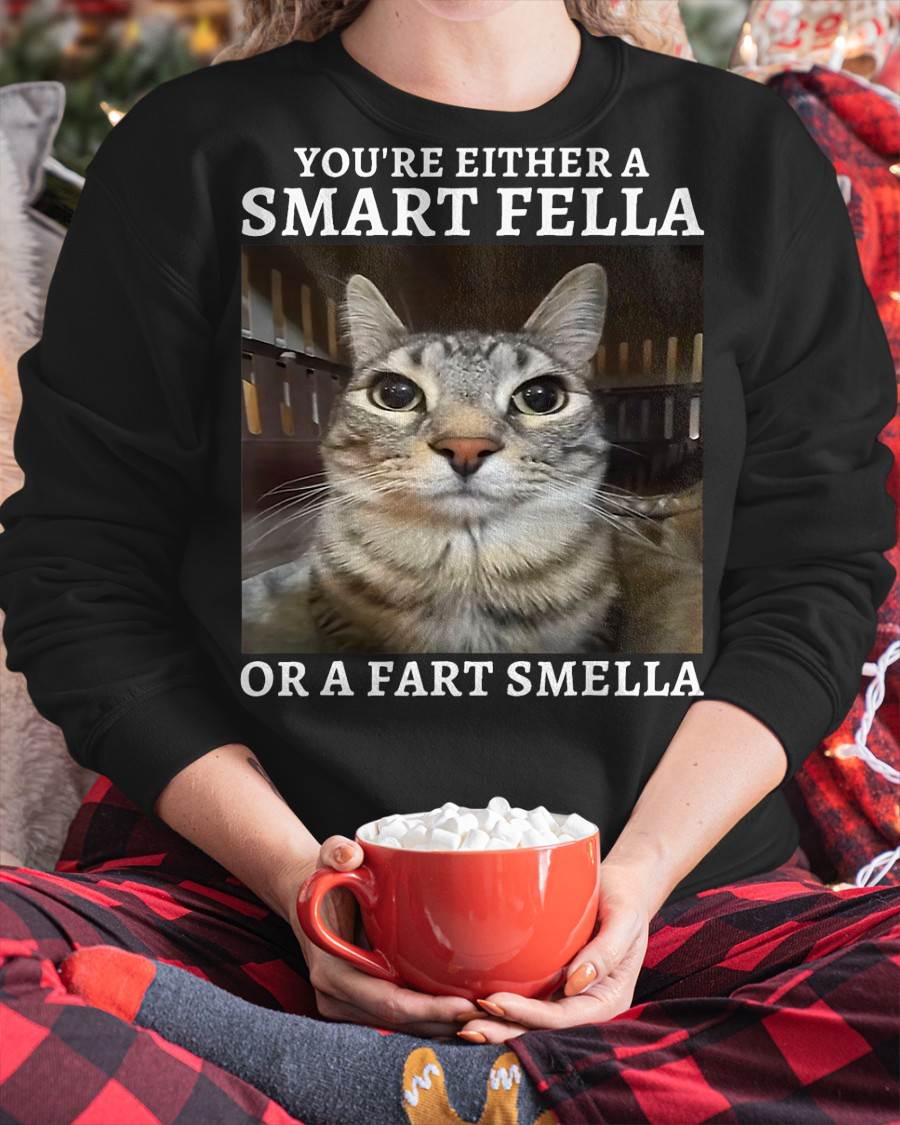 You're Either a Smart Fella or a Fart Smella Funny Cat Meme T-Shirt