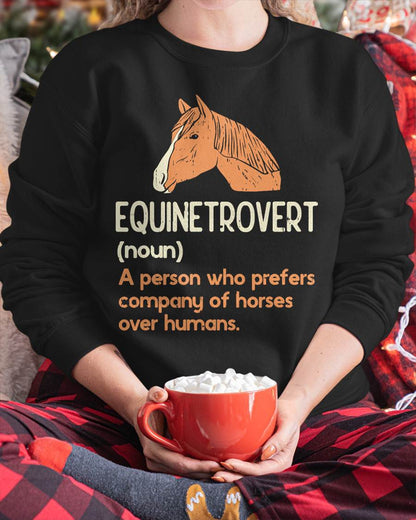 Fun Horse Lover Humor  Funny Horse Definition T-Shirt