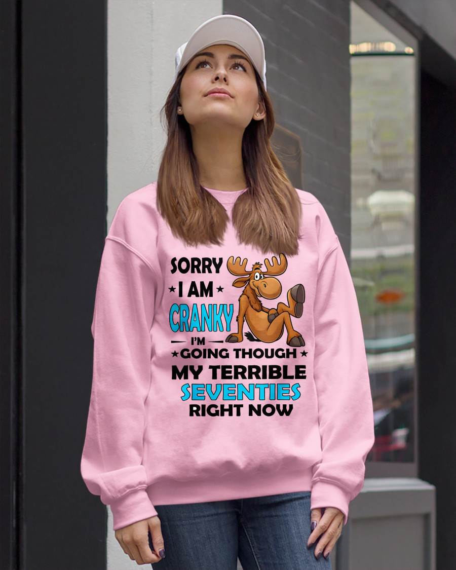 SORRY I AM CRANKY - BIRTHDAY SHIRT FOR WOMEN - SNOW00 (SKU12-249)